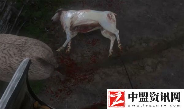 天國拯救2吟游詩人任務(wù)不花錢完成方法