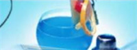 如龍8外傳夏威夷海盜酒類大師正確答案一覽