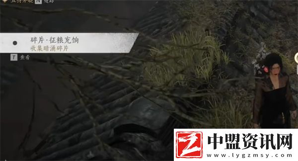燕云十六聲暗影暗涌碎片怎么獲取