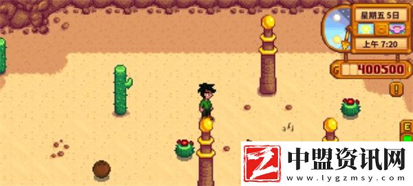 星露谷物語沙漠柱子如何獻(xiàn)祭
