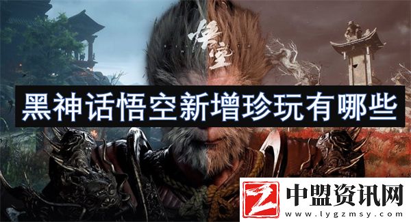 黑神話悟空新增珍玩有哪些