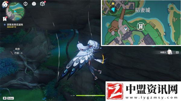 原神特別的御神簽任務(wù)怎么做
