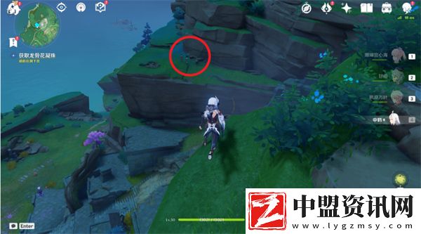 原神特別的御神簽任務(wù)怎么做