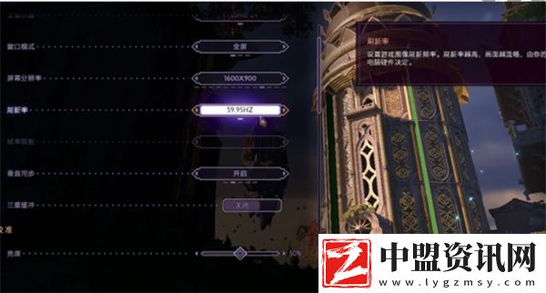 龍騰世紀(jì)影障守護(hù)者畫面調(diào)整方法