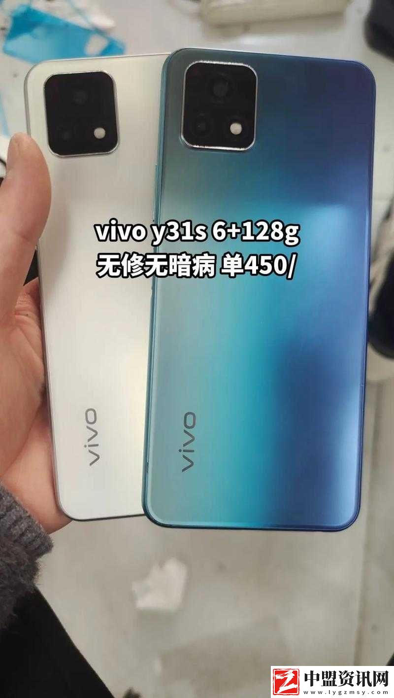 成色好的-Y31-是一次智慧的考驗：你能通過嗎