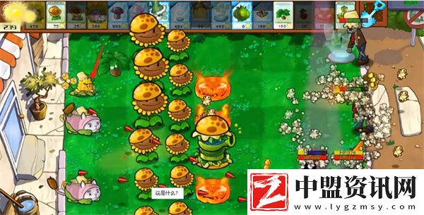 植物大戰(zhàn)僵尸雜交版星光閃卡玉米旋轉(zhuǎn)機(jī)好用嗎