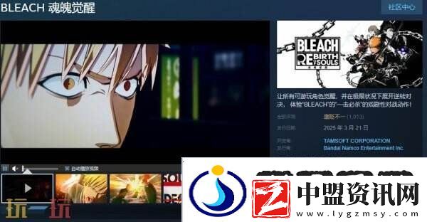 萬(wàn)代南夢(mèng)宮3D格斗游戲BLEACH