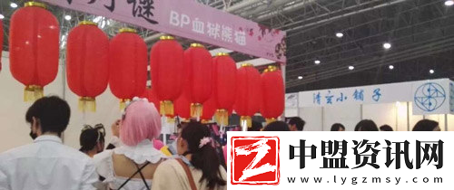 第十屆武漢艾妮動(dòng)漫游戲展元旦開幕