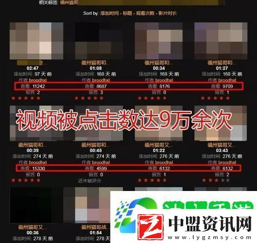 內(nèi)容豐富91社-探索多元文化的交流與分享