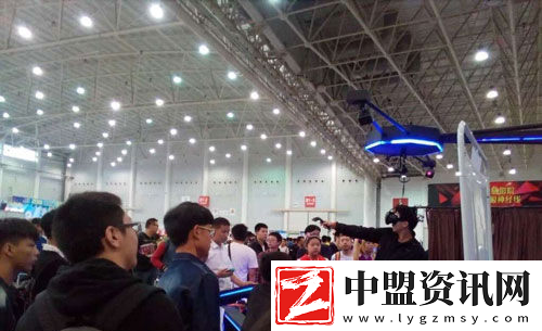第十屆武漢艾妮動(dòng)漫游戲展元旦開幕