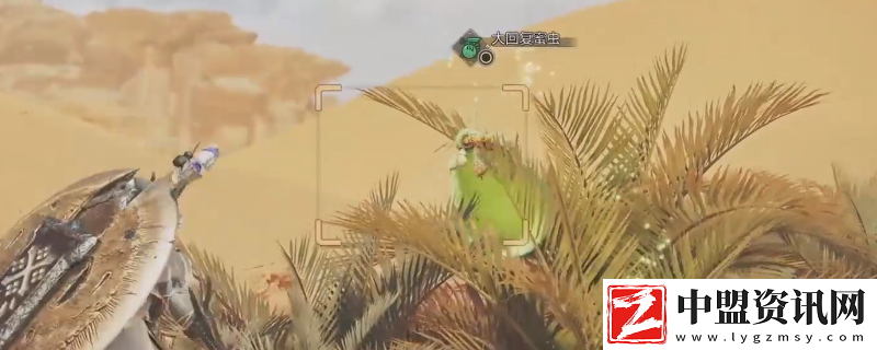 怪物獵人