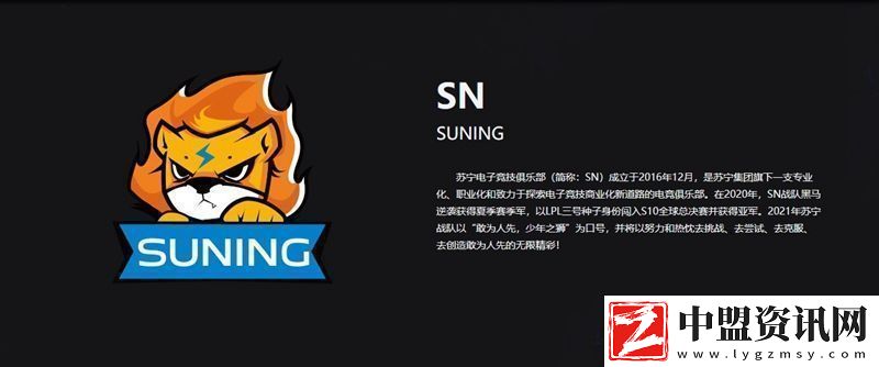SN戰(zhàn)隊(duì)LPL夏季賽名單