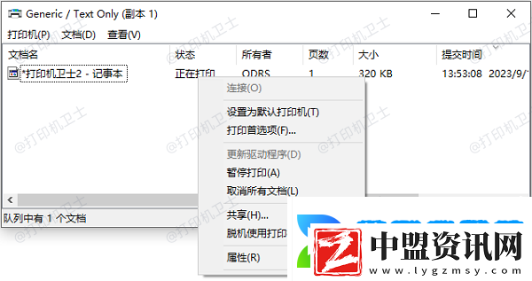 打印機(jī)沒脫機(jī)但打不出來怎么辦