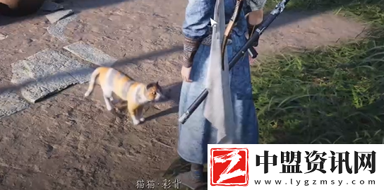 燕云十六聲七閥坡貓咪在哪燕云十六聲七閥坡貓戲全收集攻略