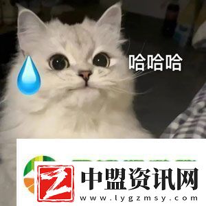 哦哈喲學妹是什么梗