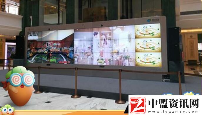 與呆萌阿波面對(duì)面