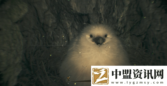 怪物獵人