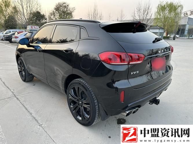 weyvv5國產(chǎn)SUV電影
